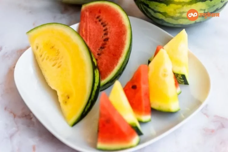 Yellow Watermelon